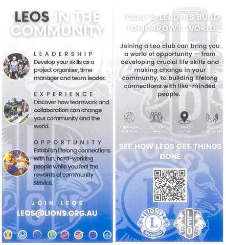 Leo Flyer