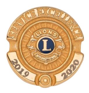 Service Excellence Pin - Gold