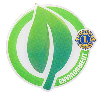 GLOBAL CAUSE ENVIRONMENT PIN