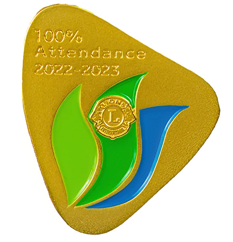 100% ATTENDANCE PIN 2022-2023