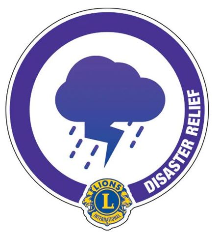 GLOBAL CAUSE DISASTER PIN