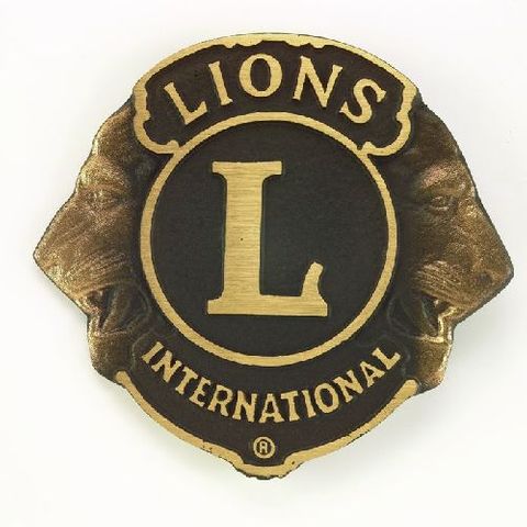 Solid Bronze Emblem 12.7cm