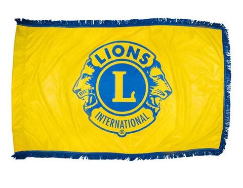 Lions Flag 3x5