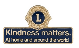 Kindness Matters Pin- Blue