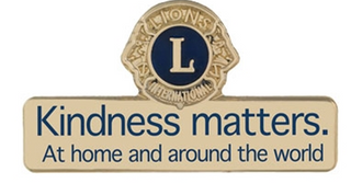 Kindness Matters Pin- Gold