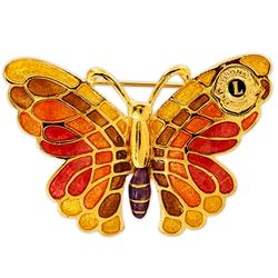 Multi Coloured Butterfly Pin