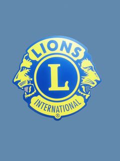 25cm Car Magnet
