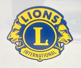 25cm Car Magnet