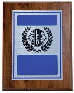 LEO PLAQUE