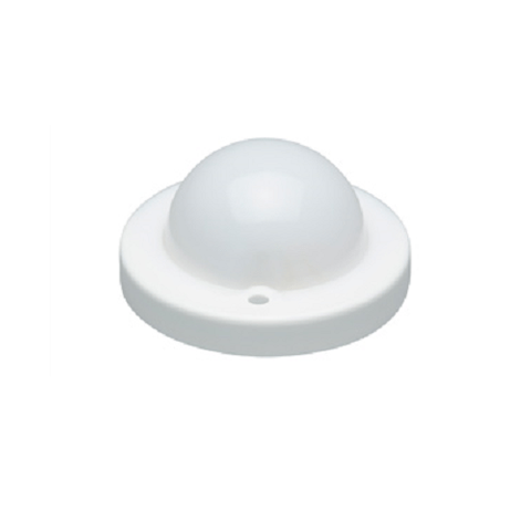 BlueDome Luminaire Frosted Low-Voltage