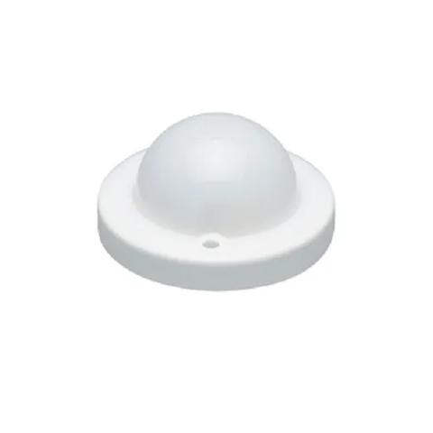 BlueDome Luminaire Frosted Low-Voltage