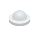 BlueDome Luminaire Frosted Low-Voltage