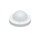 BlueDome Luminaire Frosted Low-Voltage