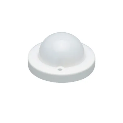 BlueDome Luminaire Frosted Low-Voltage