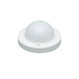 BlueDome Luminaire Frosted Low-Voltage