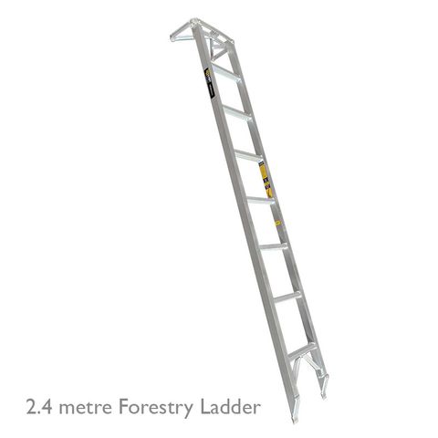 Forestry Ladder