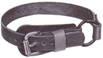 Buckingham Foot Straps/Split Ring 1" x 26" (pair)