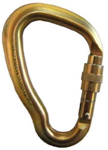 ISC Big Dan Screwgate Carabiner