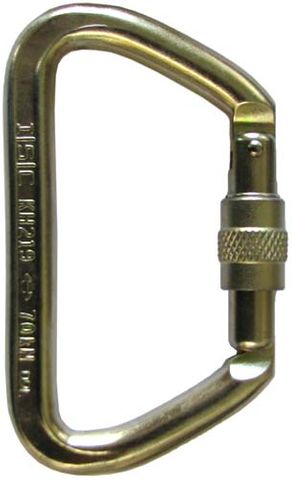 Small Iron Wizard Screw-Lock Carabiner