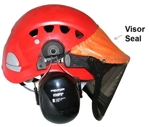 Visor Seal
