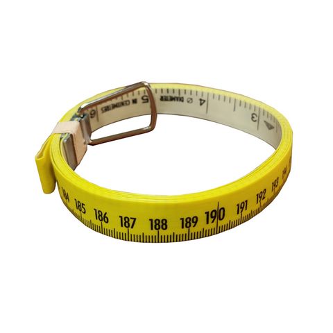 Richter, 'Superlong' Surveyors Measuring Tape, with Field Frame