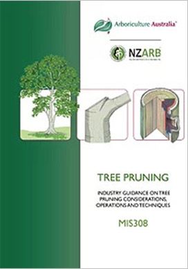 MIS308 Tree Pruning