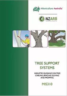 MIS310 Tree Support Systems - Member Price