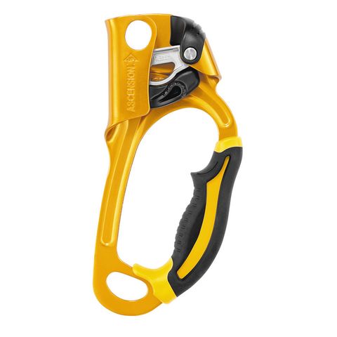 Petzl Ascension (Right Hand)