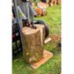 Oregon 35 ton Log Splitter