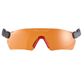 Protos Integral Safety Glasses - Orange