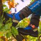 Scafell Lite Chainsaw Boots BLUE