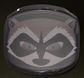 Protos F39 Mesh Visor RACOON