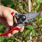 Felco 9 Secateurs - Left handed