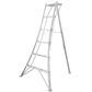 Hasegawa Tripod Ladder