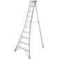 Hasegawa Tripod Ladder