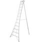 Hasegawa Tripod Ladder