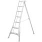 Hasegawa Adjustable Tripod Ladder
