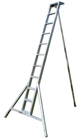 Orchard Ladder