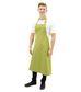 Bistro Bib Apron with Buckle - Green