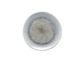 Coupe Round Plate 300mm VILAMOURA Magnolia Reactive