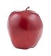Red Delicious Apple 8.5cm