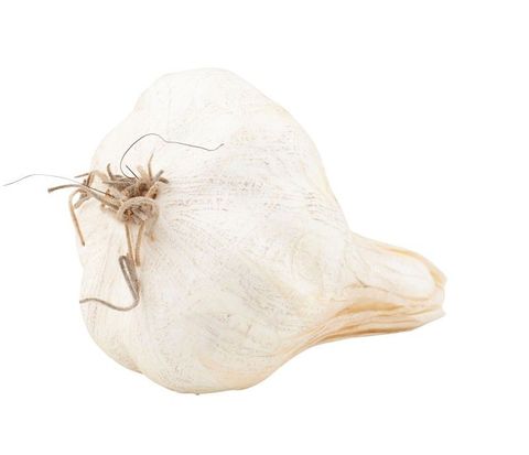 Artificial Fruitl Garlic 10cm