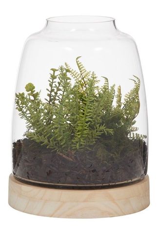 Fern/Succulent Mix-Hampton Vase 21x21x30cm
