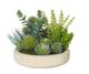 Succulent Garden-Dansk Bowl 22x22x20cm