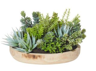 Succulent Garden-Dansk Bowl 36x37x21cm