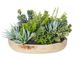 Succulent Garden-Dansk Bowl 36x37x21cm