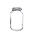 Fido Jar with Clear Lid - 4.06lt Bormioli Rocco