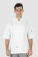 Traditional Chef Jacket White Short Sleeve