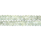 SHELL BEAD - TROCHUS ROUND - MEDIUM 6MM (70PCS)