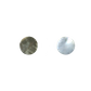 SHELL BLANK BMOP - CIRCLE - NATURAL CURVE, CLEAN BACK, TUMBLED POLISHED - 20MM [32L] (DOZ)